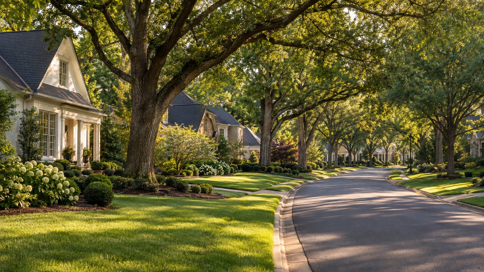 Concept of a leafy residential North Carolina neighborhood